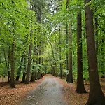 Sea & Mielno (Koszalin)