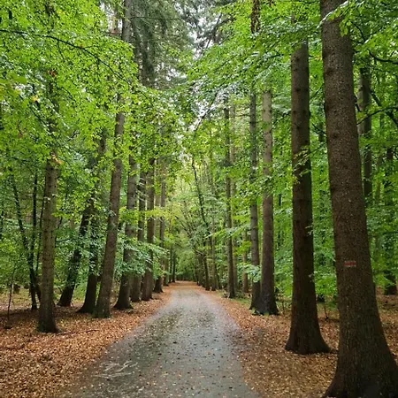 Sea & Mielno (Koszalin)